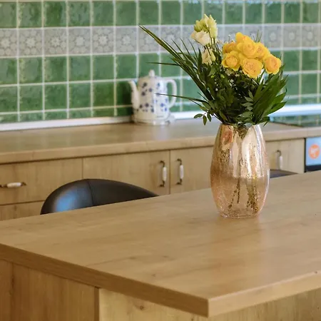 ヴィラ The K クルージュ＝ナポカ